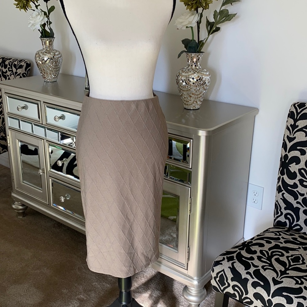 Pencil Skirt